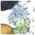 Avatar de TOindyclassicmarathon