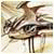 Avatar de mumnInfumehag
