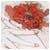 Avatar de VicySluluck
